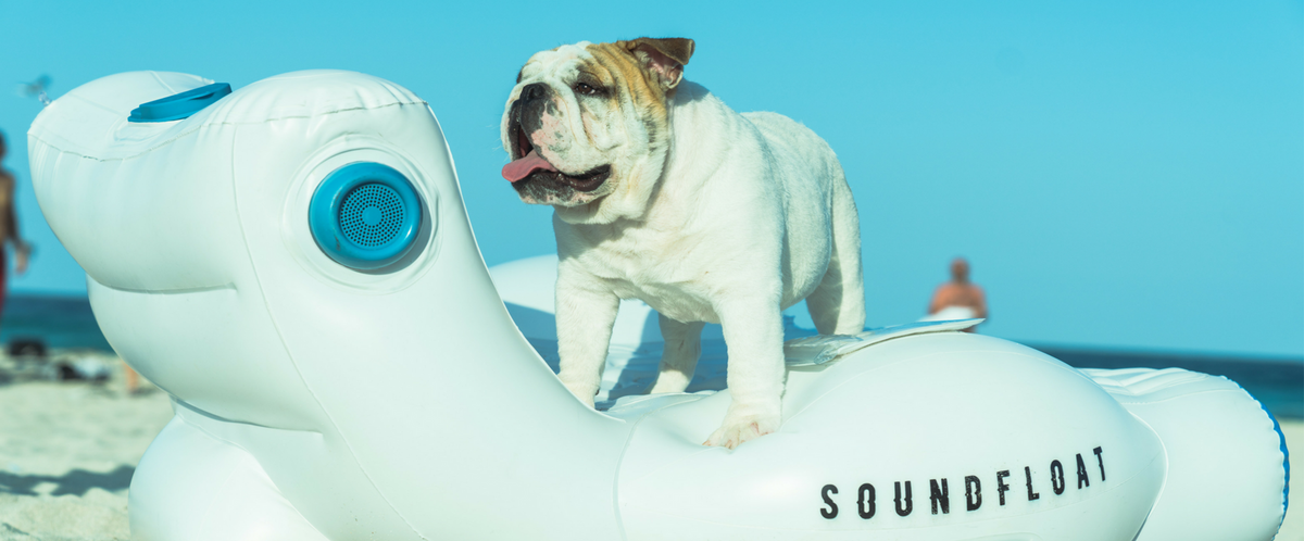 Audiosnax inflatable online floating bluetooth speakers